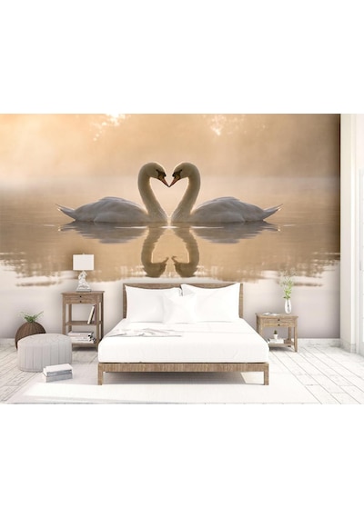 Romantik Kuğular Duvar Kağıdı