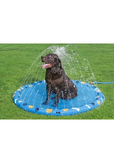 Bestway Evcil Hayvanlar İçin Pati Su Matı, Çap 147 Cm, Kaymaz Yüzey, Su Fıskiyesi, Bahçe Hortumu Bağlantısı, Dayanıklı Pvc, Onarım Yamaları Dahil