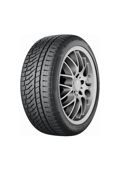 Falken 225/45 R17 94V XL Eurowinter Hs02 Pro Kış Lastiği 2023