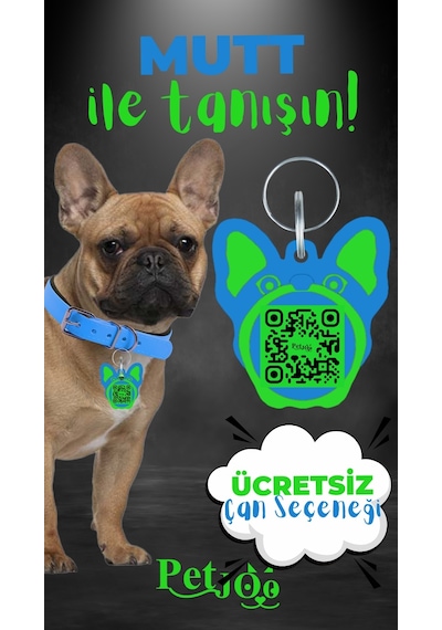 Petjoo 10.Mutt Yeşil-Mavi Qr'lı Köpek Künyesi