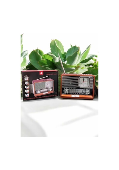 Astraltech Nostaljik Tasarım Bluetooth Radyo 18650 Şarjlı