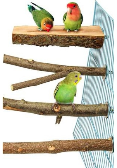 4 Paket Doğal Ahşap Kuş Levrek, Papağan Standı Levrek Platformu
