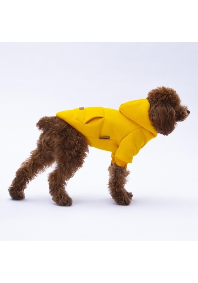 Sarı Kanguru Cepli Kedi-köpek Hoodie- Sweatshirt Kedi Köpek Kıyafeti