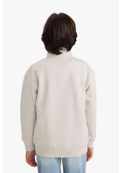Defacto Erkek Çocuk Yarım Fermuarlı İçi Yumuşak Tüylü Sweatshirt G5547a825cwbg776 Bej-bg776