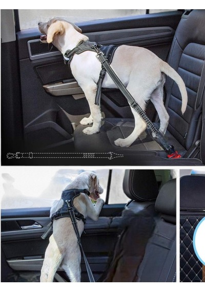 Caramelos Evcil Hayvan Araç Emniyet Kemeri Köpek Oto Kemeri Araba Oto Aksesuar Khvynas