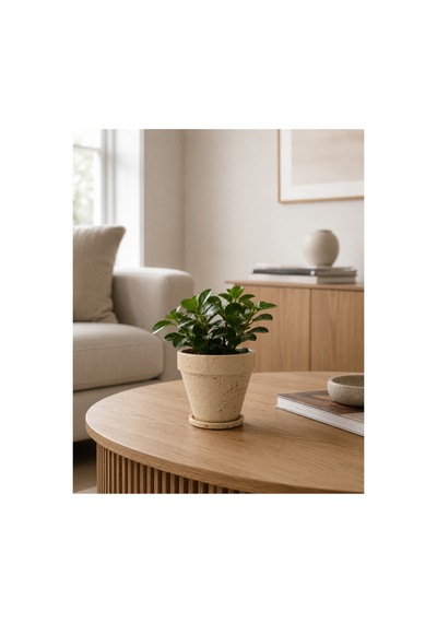 Mathilda Seramik Saksı Bej Kırmızı, Siyah Benekli Çap:17cm Yük:17cm Tabaklı Artistik Sırlı