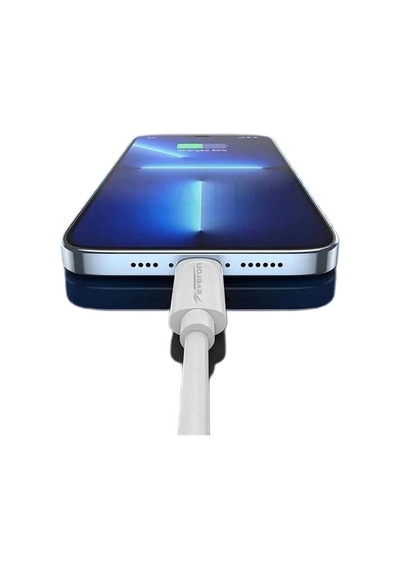 Everon CH-EVR-002 iPhone Apple Uyumlu iPad  25 W Type-C To Lightning Hızlı Şarj Cihazı