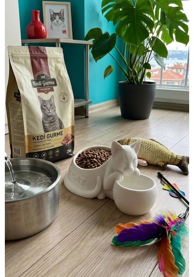 Kedi Figürlü Mama Kabı Çift Hazneli Dekoratif Mama Ve Su Kabı 25 Cm