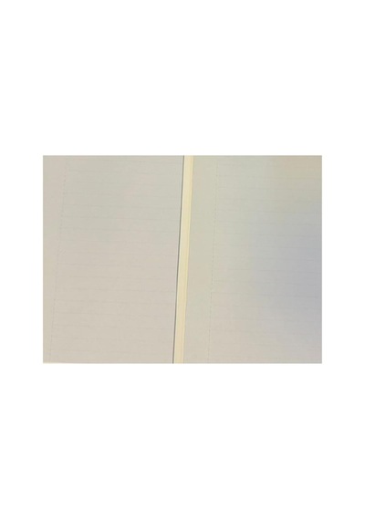 Yapışkanlı Not Kağıdı Extend 96x146mm 2x20 Yaprak Hafif Kareli Yeşil