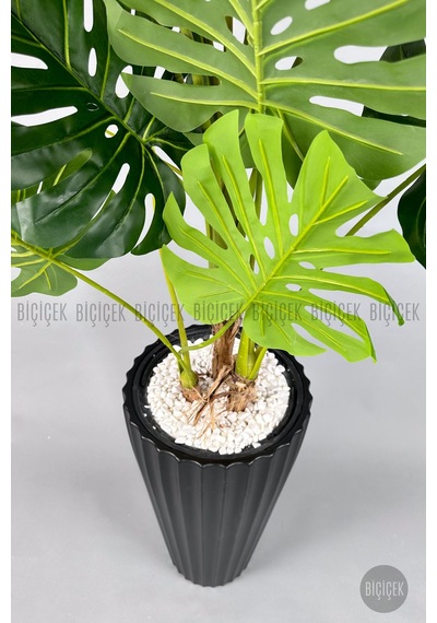 Yapay Monstera Ağacı Deve Tabani 200 Cm Si Yah Li Lyum Saksıda Siyah
