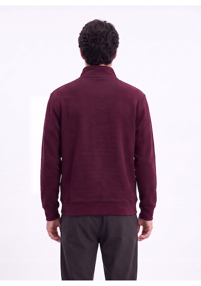 Discovery Expedition D6wm-swt3767 Mürdüm Erkek Fermuarlı Desenli Desen Triko Sweatshirt