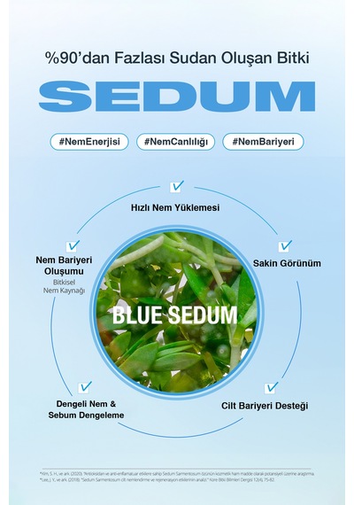 Dashu Blue Sedum Water Yağ ve Nem Dengesi Sağlayan Hyalüronik Asitli Yoğun Nemlendirici Krem