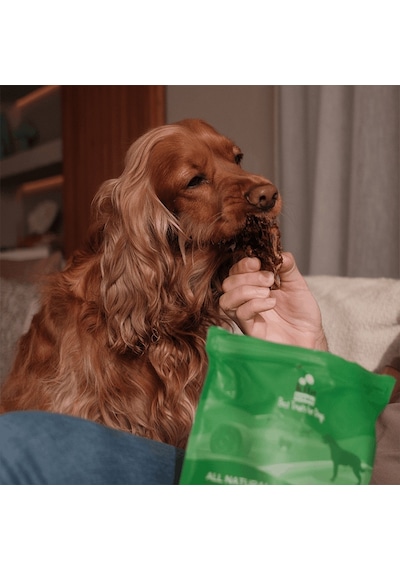 Kito Dana Akciğer Küp Atıştırmalık Doğal Glutensiz Organik Köpek Ödül Maması 100 G Kito Dana Akciğer Küp Atıştırmalık Doğal Glutensiz Organik Köpek Ödül Maması 100 G