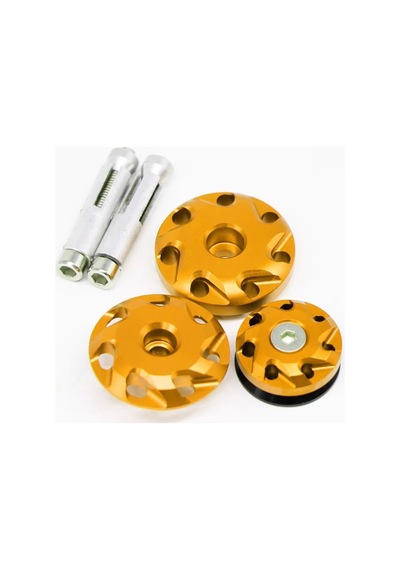 Kawasaki Z1000 Uyumlu Gövde Dekoratif Kapak Gold