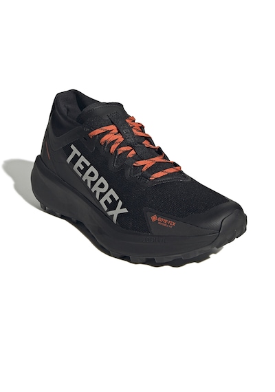 Adidas Koşu Ayakkabı Terrex Agravıc Gtx Siyah