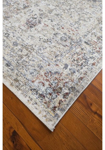 Vivanni Home Everlynn Polyester Vintage Halı Pamuk Atkı Tabanlı Modern Dokuma Ev Halısı Bej