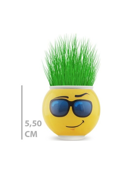 Veraura Lifestyle Çim Adam Saksı Emoji Figürlü 1 Adet Sarı
