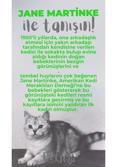 Petjoo 5.Jane Martinke Gri-Yeşil Qr'lı Kedi Künyesi