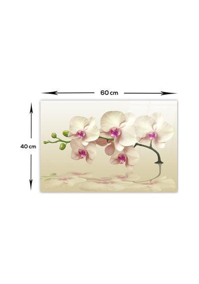 Decorıta Krem Orkide Desen / Ocak Arkası Koruyucu 40cm X 60cm