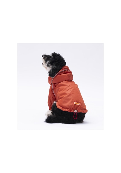 Pawstar Turuncu Pluvia Kedi Köpek Mont Kedi Köpek Kıyafeti