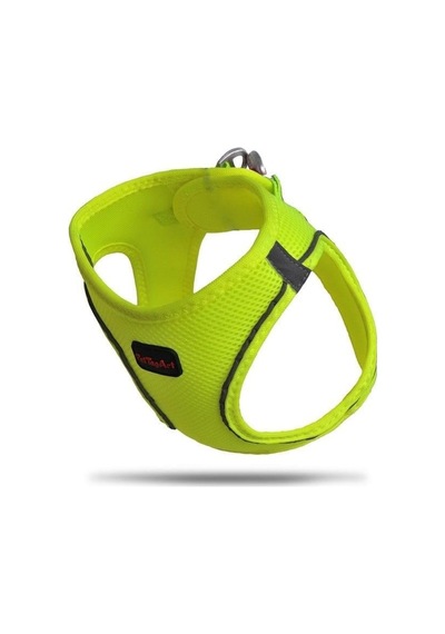 Pettagart Airmesh Neon Sarı Göğüs Tasması Turuncu