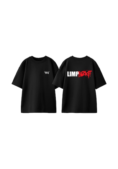 Thewert Limp Bizkit 3 Tasarım Sırt Baskılı Pamuk Siyah Oversize T-shirt