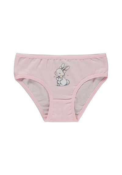 Artı Çorap Tavisan 3'lü Kız Slip Set - Standart