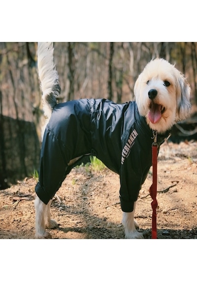 Fonksiyonel Fermuarlı Tulum Rüzgarlık Yağmurluk Köpek Kıyafeti