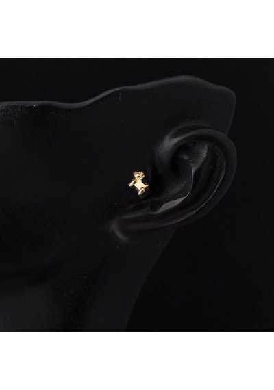 Bilezikci  14 Ayar Altın Tragus Piercing Küpe Kphsy14k22506