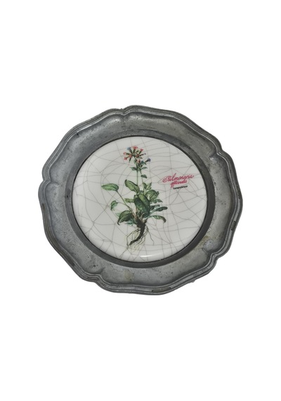 Vintage Zınn Çerçeveli Dekoratif Pulmonaria Officinalis Bitkisi Temalı Duvar Tabağı 10cm 007