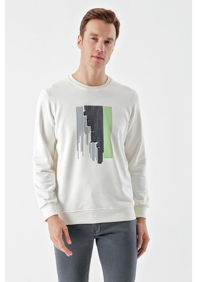 Slimfit Bisiklet Yaka Önü Baskılı 2 İplik Erkek Sweatshirt 001