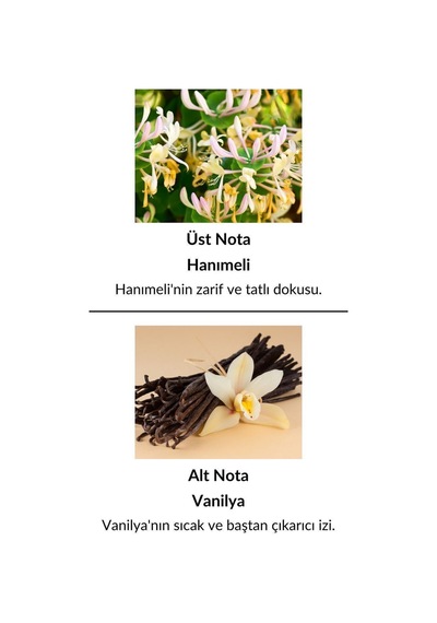 Alescia St-15 Kadın Parfüm EDP 50 ML