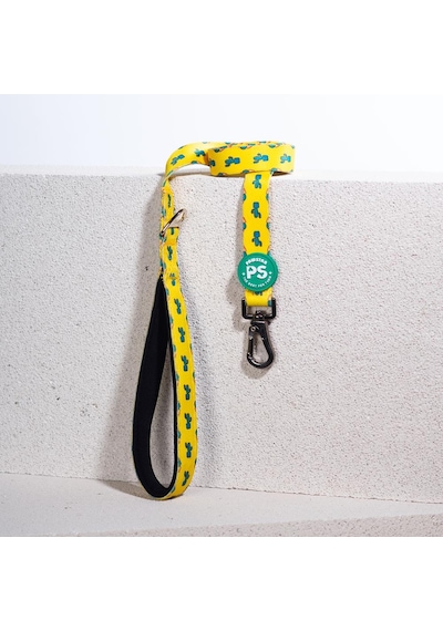 Pawstar Cactus Leash Kedi Köpek Sevk & Gezdirme Kayışı Köpek Uzatma Tasması Sarı