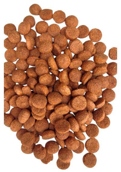 Yetişkin Köpek Maması 15 Kg