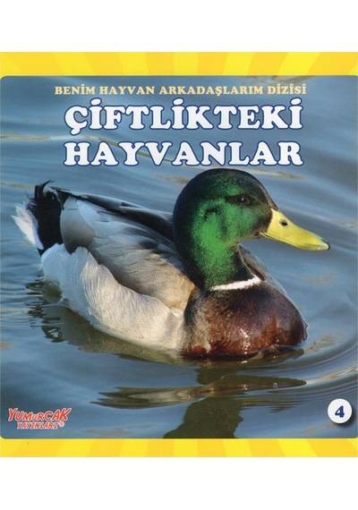 +4 Yaş Benim Hayvan Arkadaşlarım Dizisi 4’Lü Kitap Seti Yumurcak