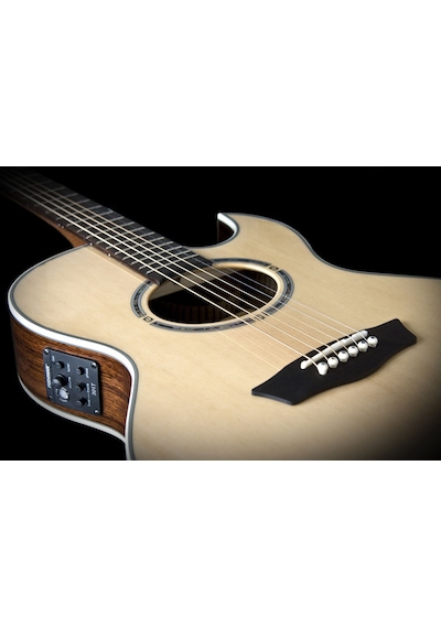 Washburn Ea20s Nuno Bettencourt Signature Elektro Akustik Gitar