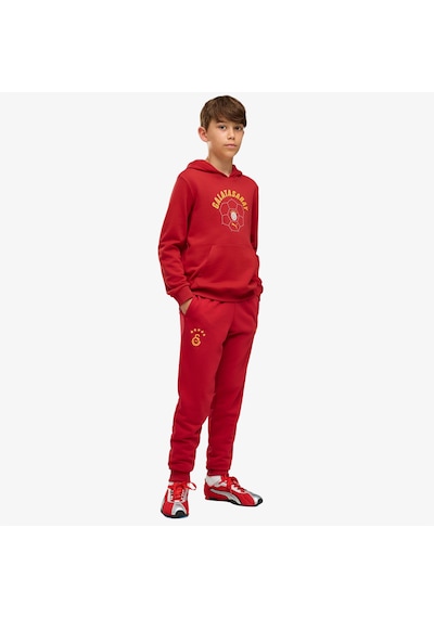 Puma Galatasaray 26/27 Çocuk Kırmızı Eşofman Altı 786580 Gri