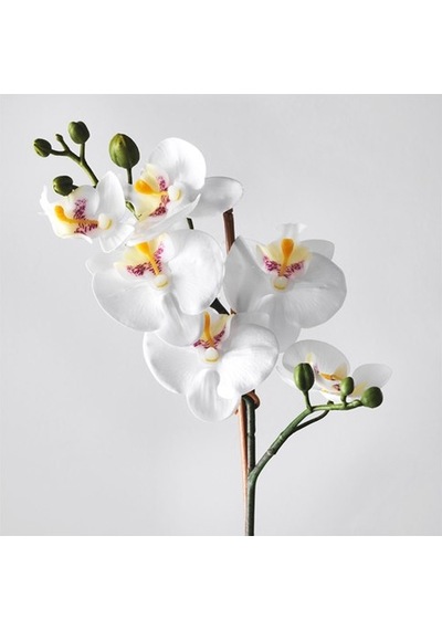 Yapay Orkide Beyaz 9 Cm MeridyenDukkan 9 cm Yapay Çiçek Orkide