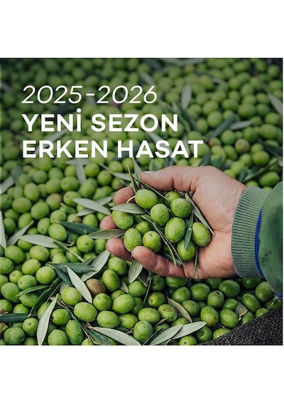 Kozoliv 2025 - 2026 Yeni Sezon Erken Hasat Soğuk Sıkım Zeytinyağı 2 x 2 L