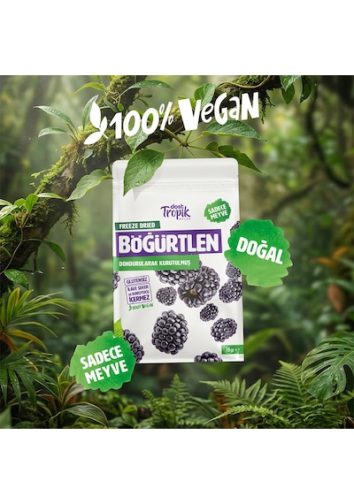 Dondurularak Kurutulmuş Böğürtlen 18 G Freeze Dried Meyve Cipsi Çıtır Meyve Kurusu 4 Adet