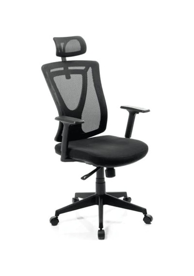 Ergonomik Fileli Yönetici Koltuğu Çok Renkli Ergonomik Fileli Yönetici Koltuğu Çok Renkli