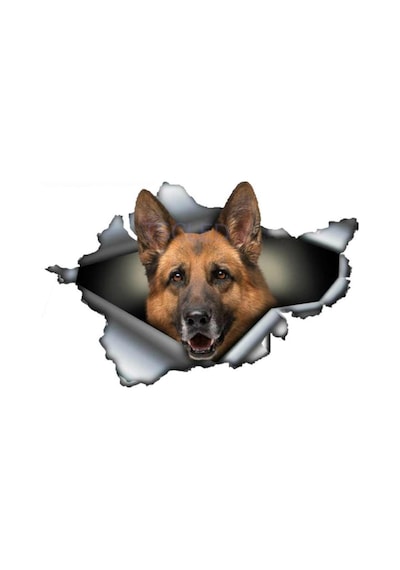 Alman Çoban Yırtık Araba Sticker Su Geçirmez Çıkartma