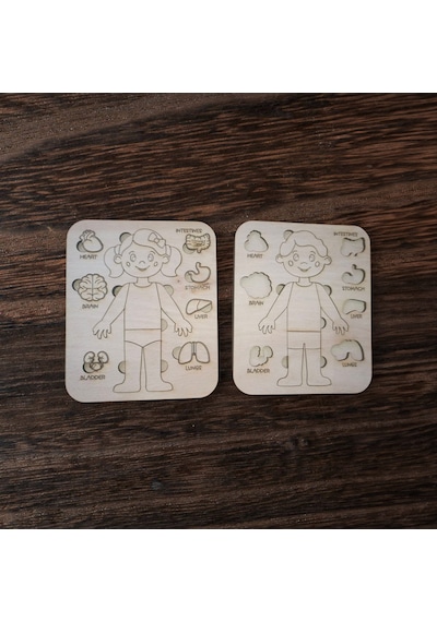 Ahşap Anatomi Puzzle Öğretici Organ Oyunu Kız/erkek