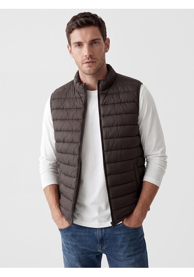 Lcwaıkıkı Classic Kahverengi Regular Fit Dik Yaka Erkek Şişme Yelek