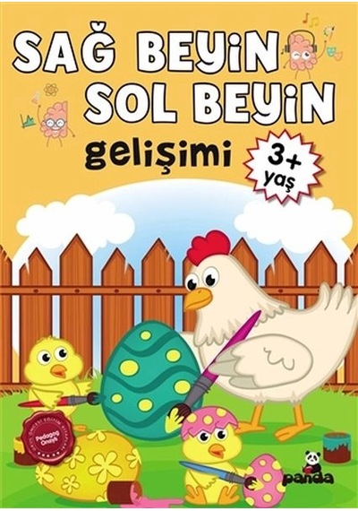 3 Yaş Sağ Beyin-sol Beyin Gelişimi