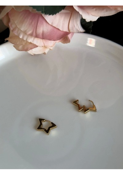Yıldız Figürlü Çelik Küpe -lotus Serisi Gold