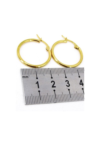 21 MM Kadın Halka Çelik Küpe Çifti Italyan Kilitli Mse25 Sarı