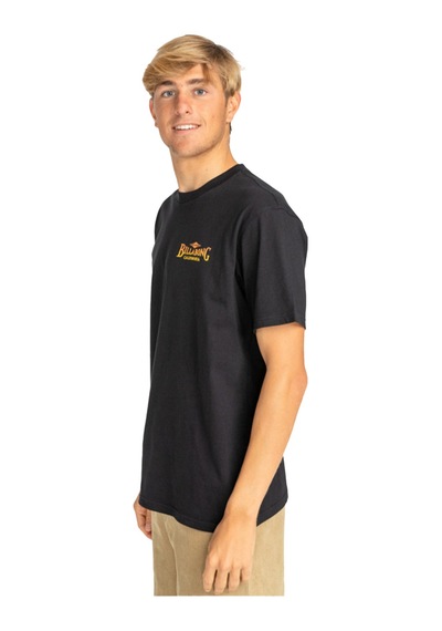 Bıllabong Billabong Dreamy Place Tees Erkek Siyah Tişört 19 SIYAH