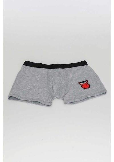 Redowl Baykuş Baskılı Gri 2'Li Boxer Gri