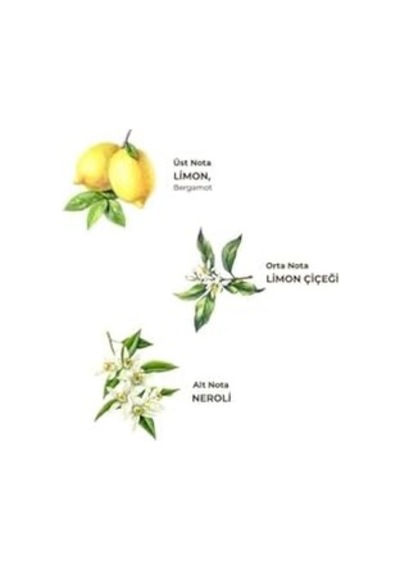 1 Litre Limon Kolonya